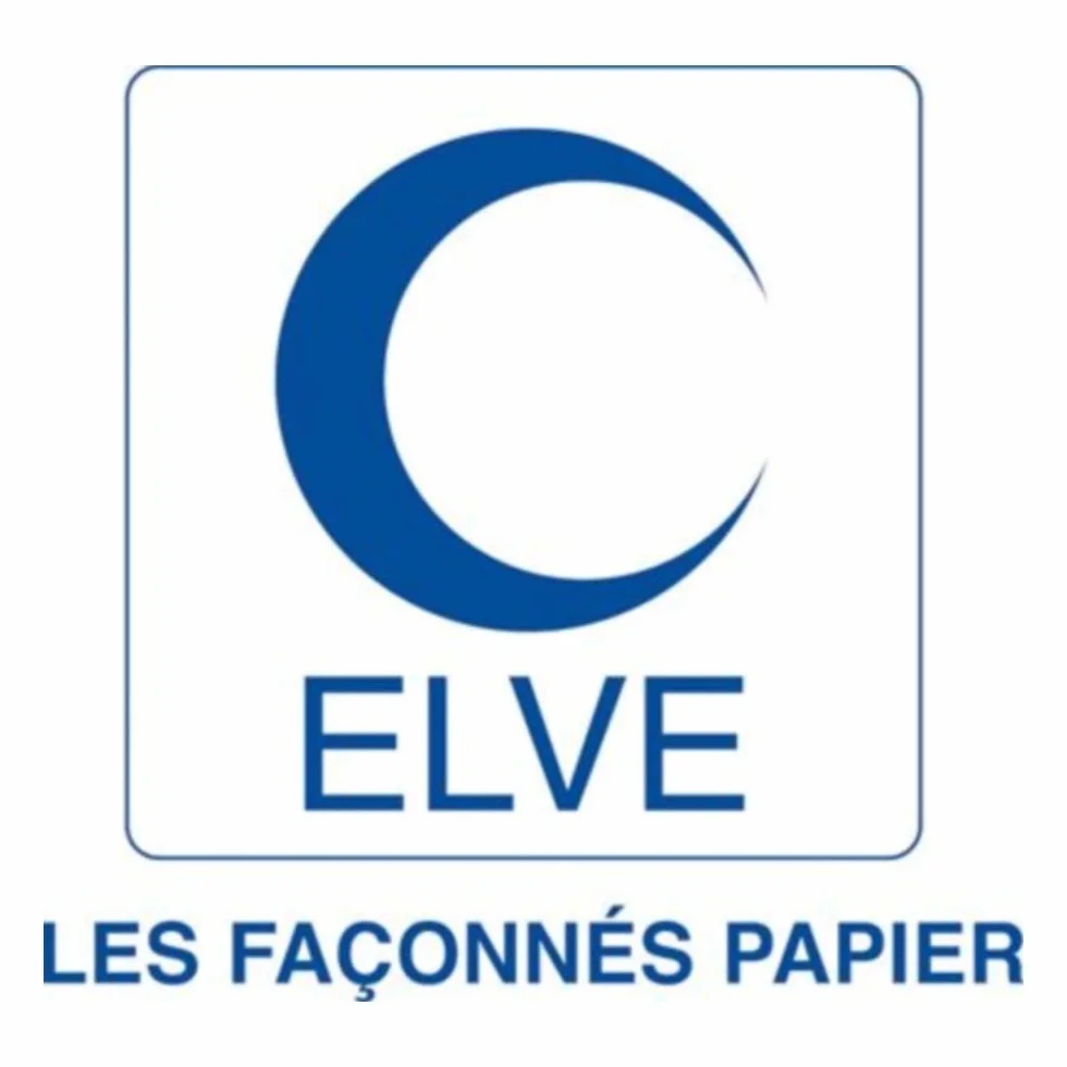 Elvé 1000 biglietti per guardaroba, numerazione da 1 a 1000, dimensioni: 3 x 20 cm 3x20cm verde