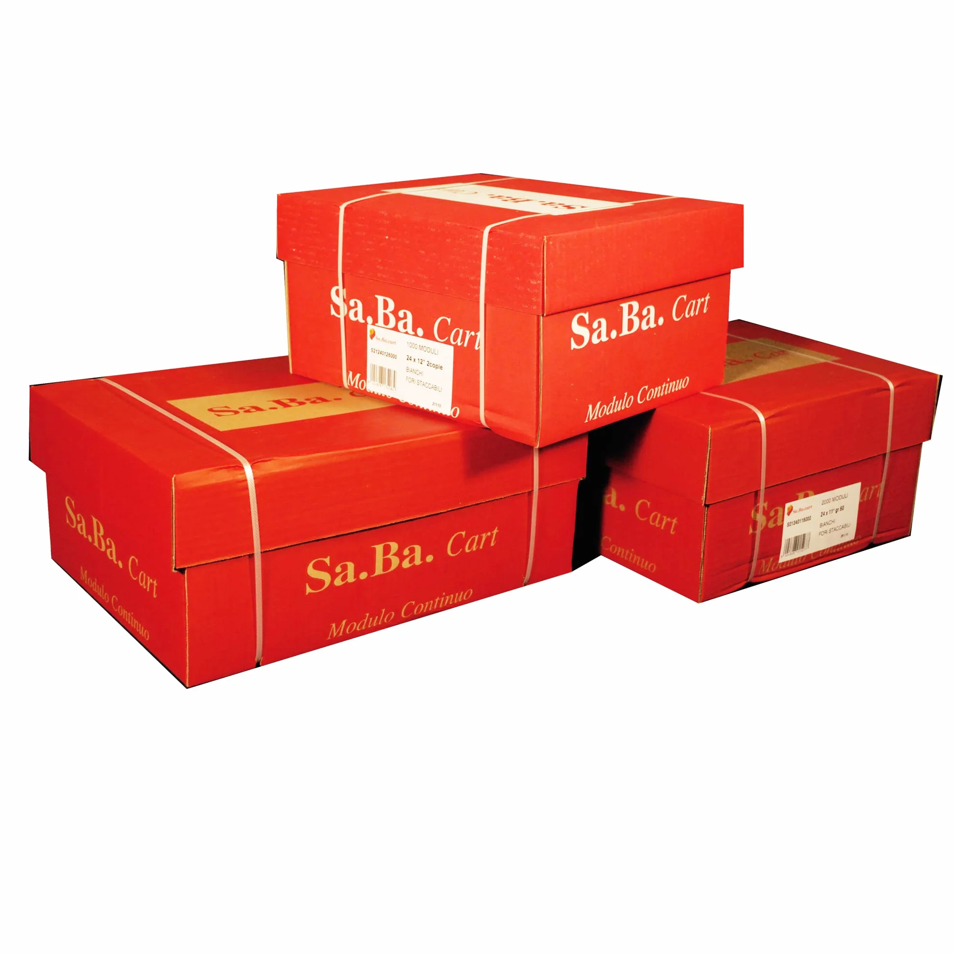 carta in modulo continuo 24x12" 60gr (2000fg) lf piste fisse