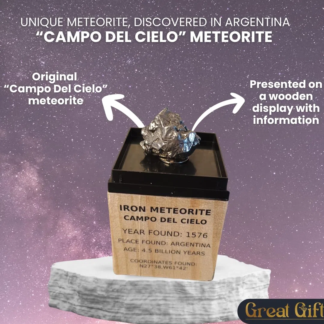 Campo del Cielo Meteorite – Meteorite di ferro su display in legno – Trovato nel 1576 – 4,5 miliardi di anni – Regalo per collezionisti e appassionati di spazio