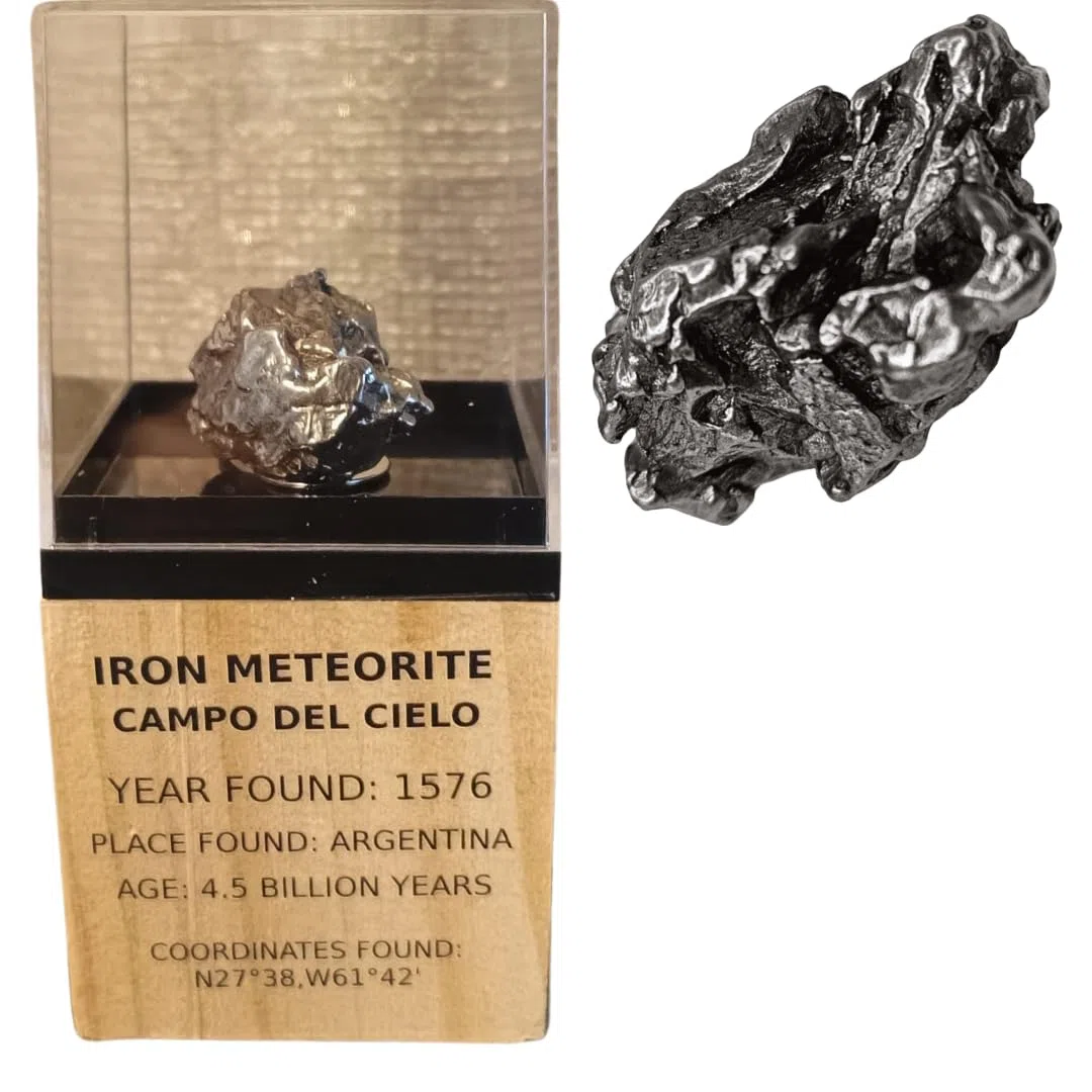 Campo del Cielo Meteorite – Meteorite di ferro su display in legno – Trovato nel 1576 – 4,5 miliardi di anni – Regalo per collezionisti e appassionati di spazio